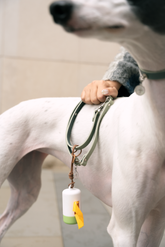 Biodegradable Large Small Dog Poop Bag Kamamuta